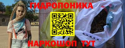 индика Ярцево